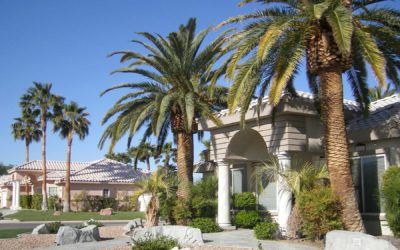 Investment Considerations for Nevada Real Estate